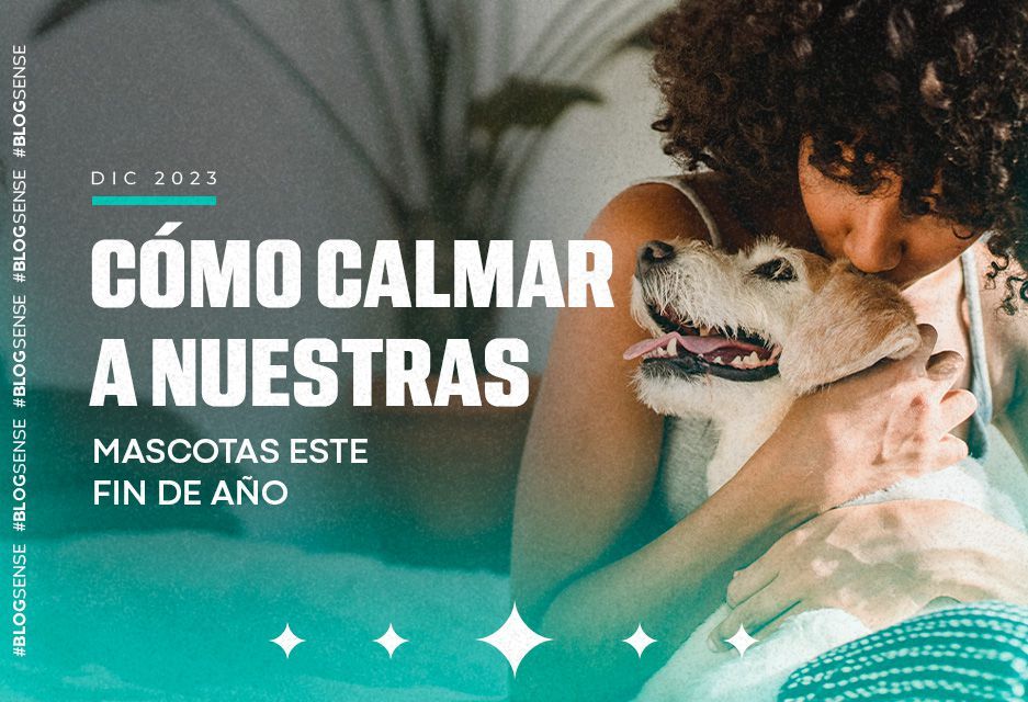 Cómo calmar a nuestras mascotas este fin de año